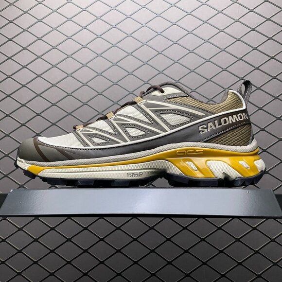Salomon XT-6 Sneaker In Beluga / Pewter / Dull Gold